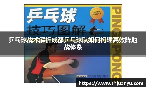 乒乓球战术解析成都乒乓球队如何构建高效阵地战体系