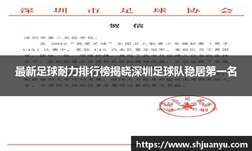 最新足球耐力排行榜揭晓深圳足球队稳居第一名
