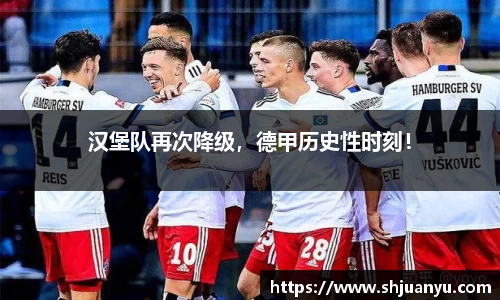 汉堡队再次降级，德甲历史性时刻！