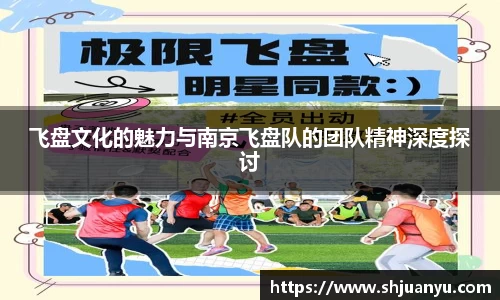 飞盘文化的魅力与南京飞盘队的团队精神深度探讨