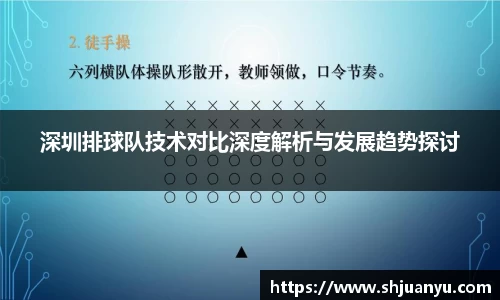 深圳排球队技术对比深度解析与发展趋势探讨