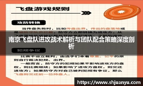 南京飞盘队进攻战术解析与团队配合策略深度剖析