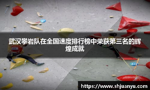 武汉攀岩队在全国速度排行榜中荣获第三名的辉煌成就